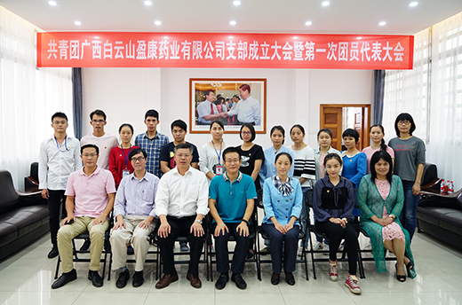 共青團白云山盈康藥業第一次代表大會圓滿召開
