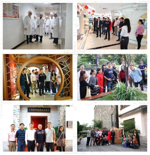 不忘初心攜手前行，努力奮斗爭創一流 --盈康氣排球隊參觀總廠、和黃并與部分老領導座談