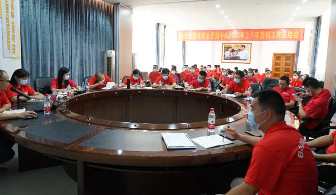 白云山盈康營銷中心2020年上半年工作總結(jié)會成功召開